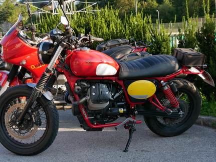 61